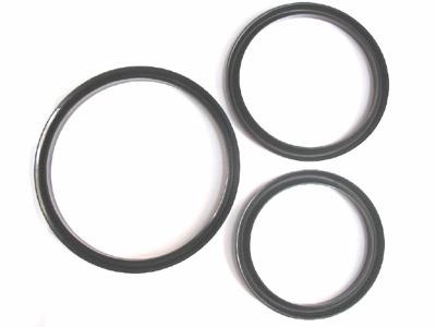 Oil Seals