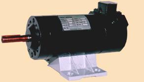 Permanent Magnetic DC Motor