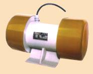 Vibratory Motor