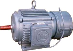 Brake Motor