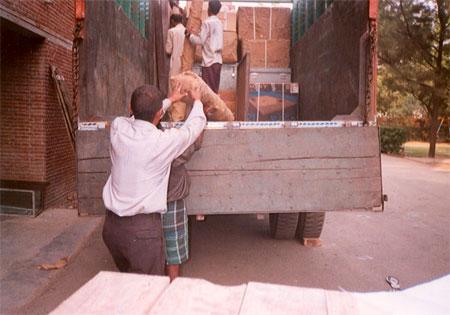 CARING LOADERS/OFFLOADERS