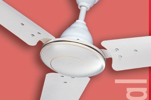 Royal White Fan