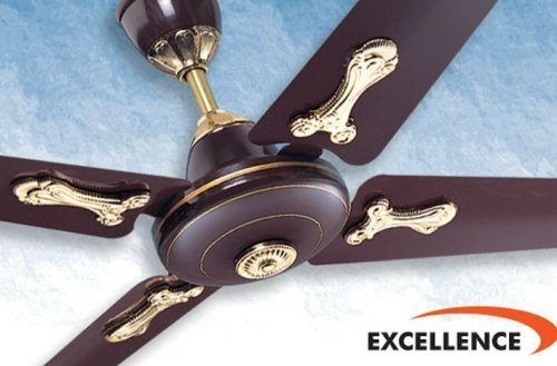 Excellence Fan