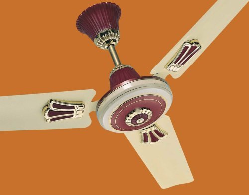 Exclusive Ceiling Fans