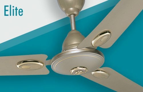 Exclusive Ceiling Fans
