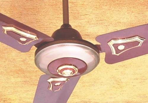 Champion Copper Metallic Fan