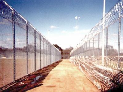 PUNCH TAPE CONCERTINA - Galvanized Steel, 730mm Coil Diameter, 2.5mm Wire Diameter | High Security, Durable, Weather Resistant, Easy Install