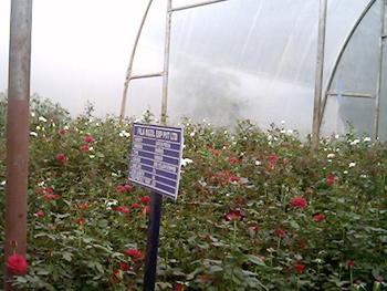 Agricultural Products