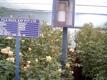 Agricultural Products