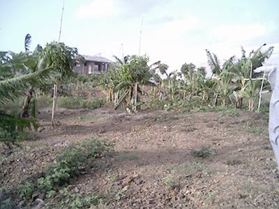 Agricultural Products