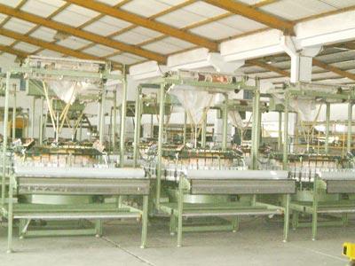 Circular Looms