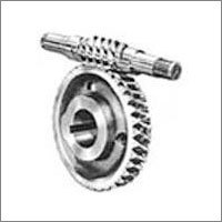 Worm & Worm Shaft