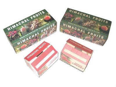 Printed Fruit Carton