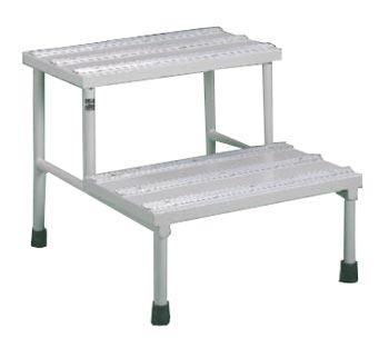 Double Step Stool