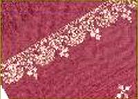 Pashmina Shawl