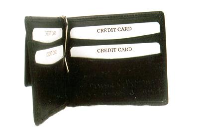 Money Clip Wallet
