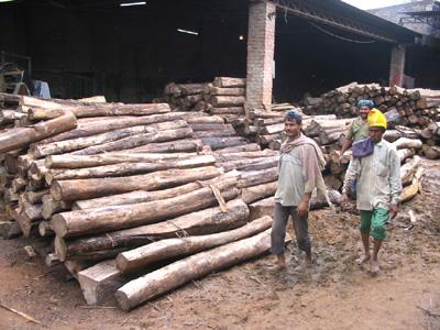 Teak Logs