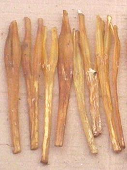 tendon I
