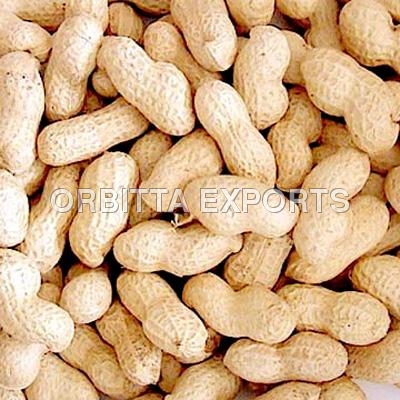 Groundnut Shells