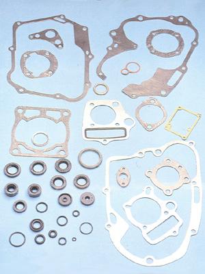 Gasket & Oil Seals