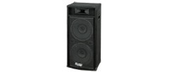 Professional Speaker System