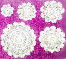 Doyley Scalloped