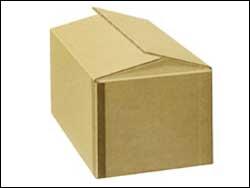 Master Carton
