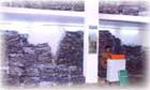 PVC/ARTIFICAL LEATHER CLOTH