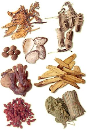 Herbs