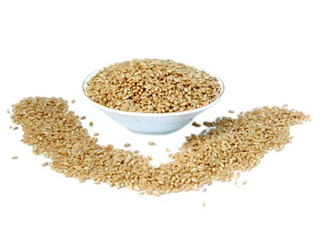 Food Products