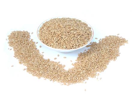 Food Products