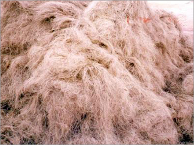 Natural Coir Fibre