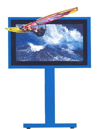 Display System