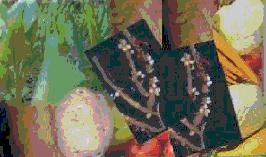 Pelicide (Paecilomyces)