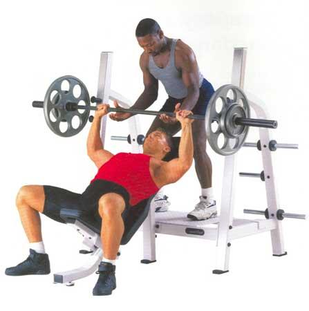 Olympic Incline Bench