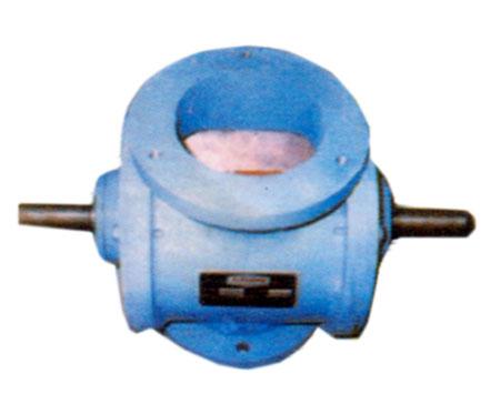 Rotary Valve