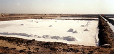 Iodised Salt