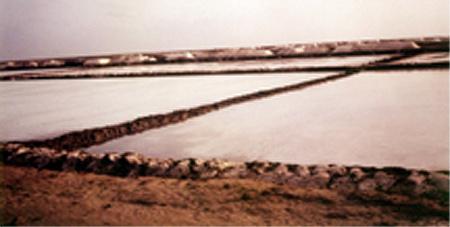 Iodised Salt