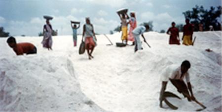 Common Salt