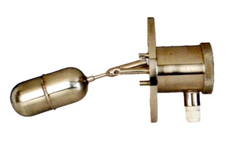 Side Mounted Switches