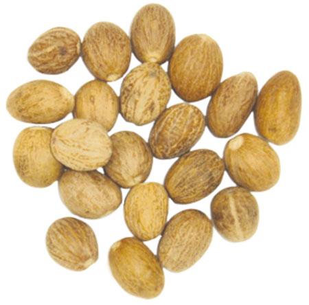 Nutmeg (Jaifal)