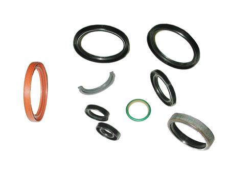 Oil Seals