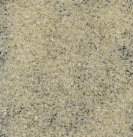 Basmati Rice