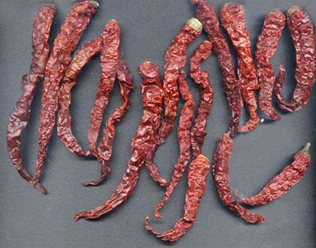 Biadgi Chilli