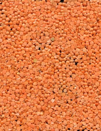 Red Split Lentils