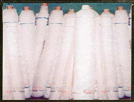 Nylon/H.D.P.E. Woven Fabric