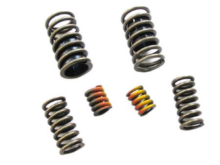 Clutch Springs