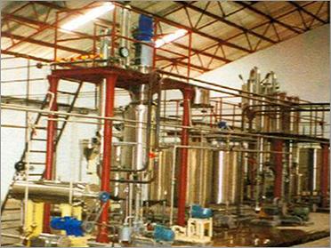 Tomato Processing Plant