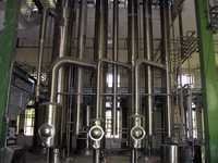 Starch & Starch Derivatives