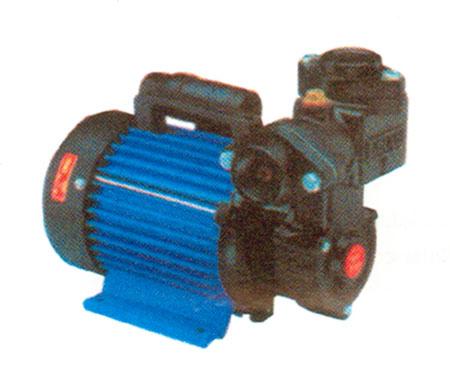 REGENERATIVE PUMPSETS (MINI-MONOBLOCKS)